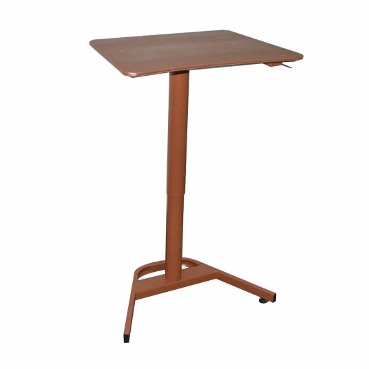 Modern Metal Base Height Adjustable Standing Desk